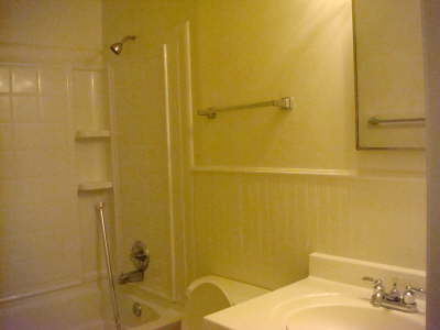 bathroom #1, view 2
